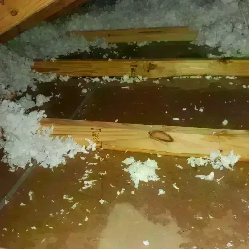 Attic Water Damage in Gorham, NH